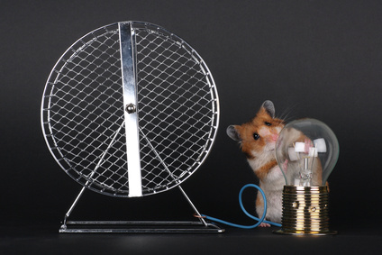 Clean Energy Hamster